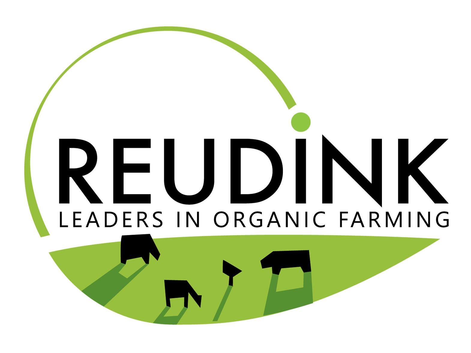 Logo Reudink