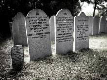 Joodse begraafplaats 4