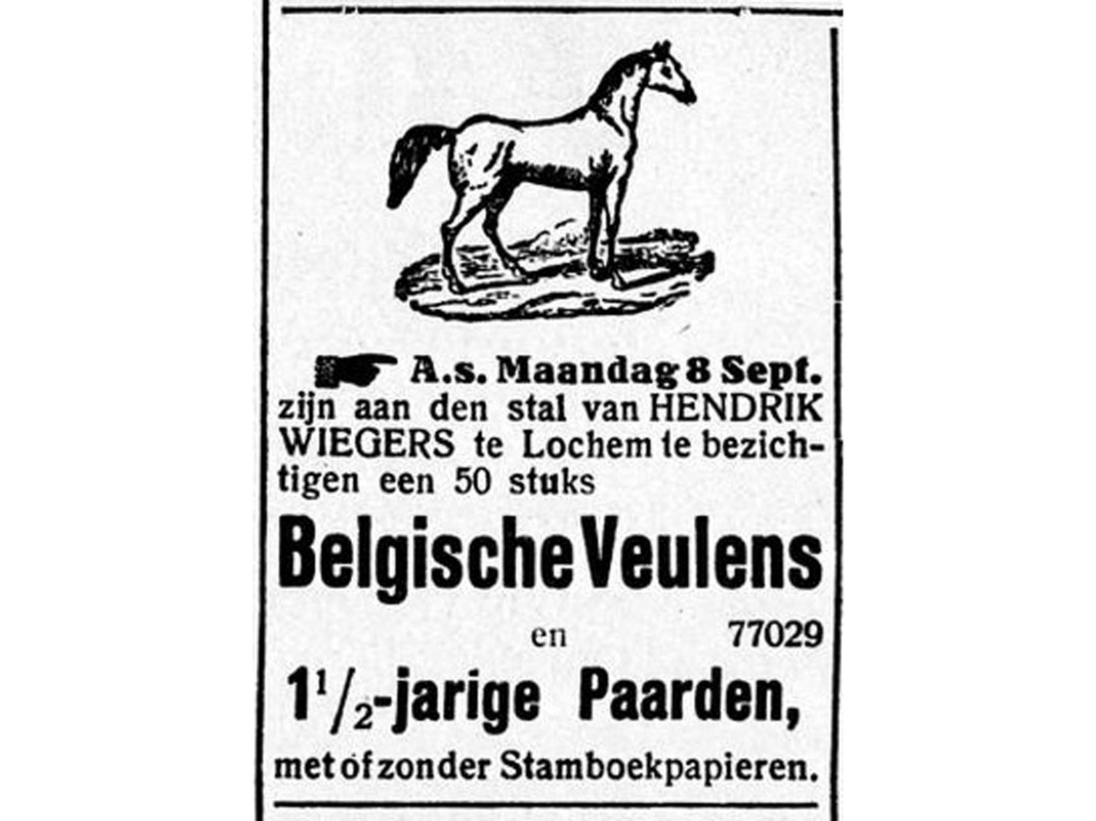 Advertentie veulens