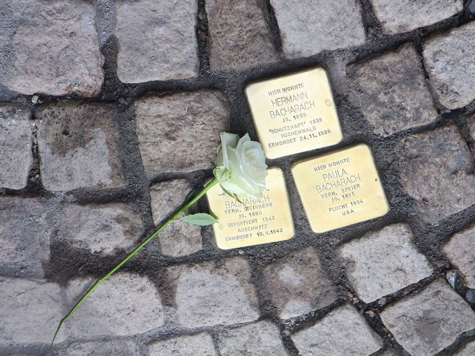 Stolpersteine Bacharach