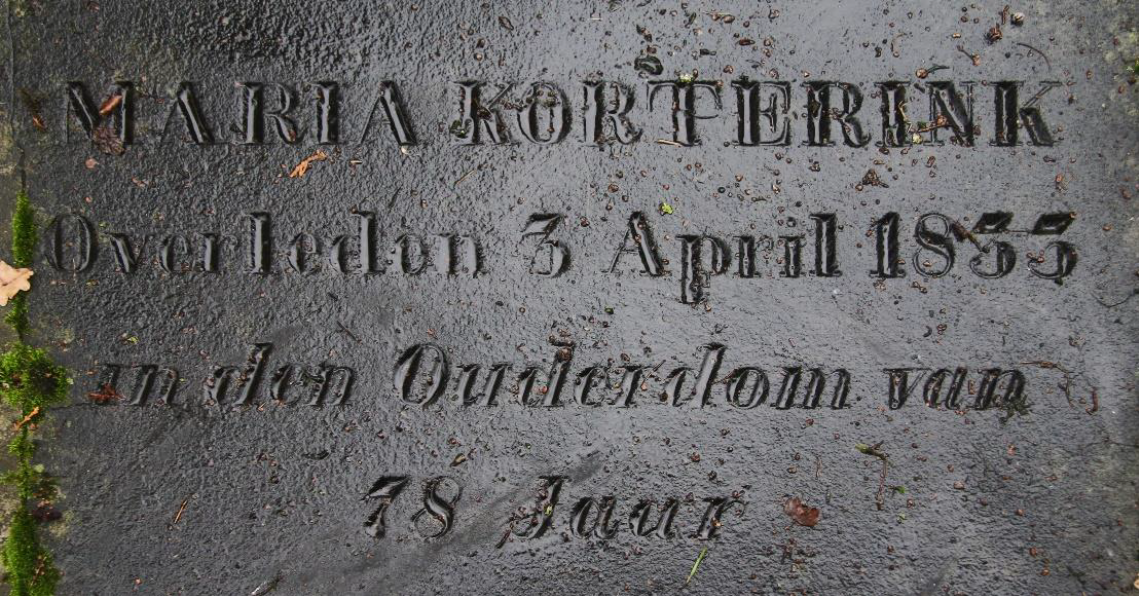 Graf M Korterink